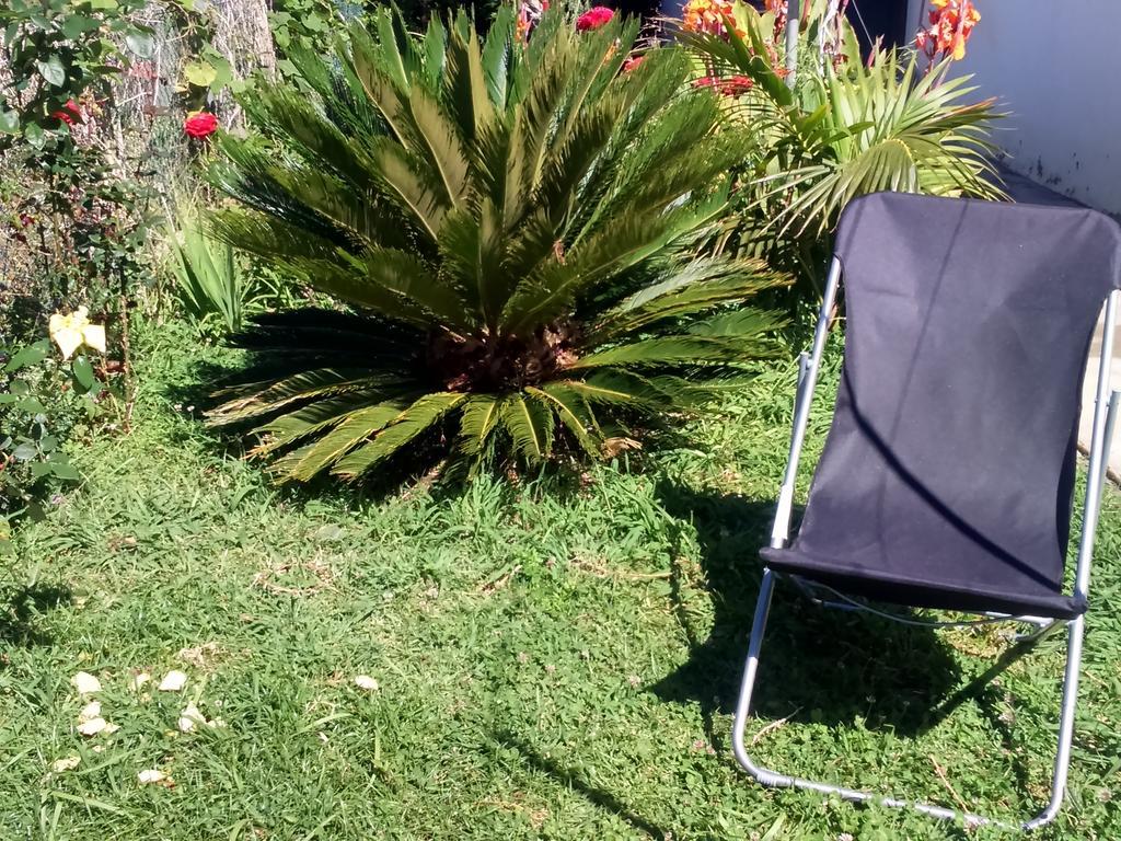 Canto Da Manu Estreito Da Calheta Εξωτερικό φωτογραφία